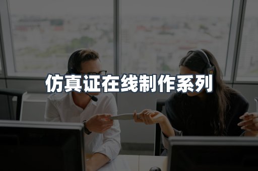 仿真证在线制作系列